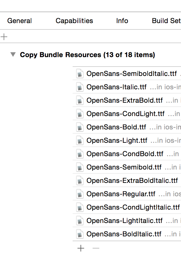 iOS Copy Bundle Resources Example
